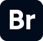 Adobe Bridge (BR) 2022 媒体管理增强与元数据编辑