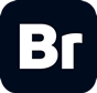 Adobe Bridge 2026 v16.0.6.9 免激活中文高级版 摄影师与设计师的超级素材管家 16.0.6.9 - MacOS/Windows