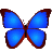 bkViewer v8.8c 中文绿色版 — 小巧精悍数码照片浏览器，37 种 RAW 直读 + ExifTool 内核
