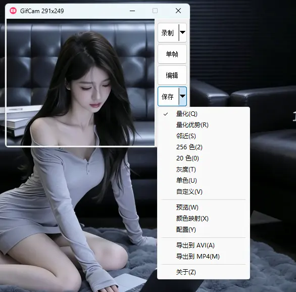 演示截图 演示截图