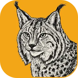 LightCraft v0.4.0 绿色便携汉化版 - Rust高性能开源RAW修图与Lightroom平替利器